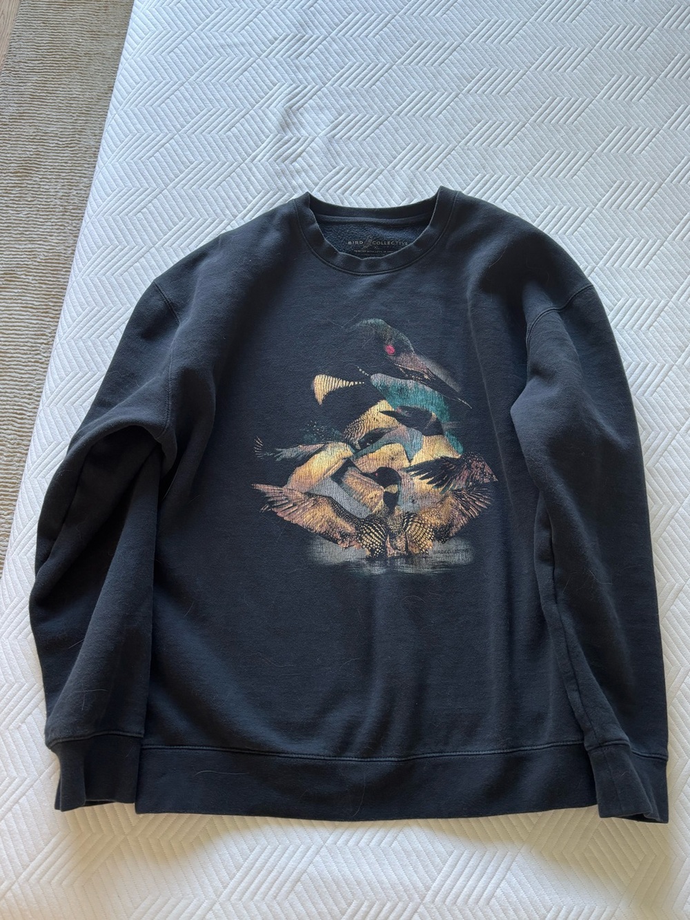 Bird Collective Loon Sweatshirt